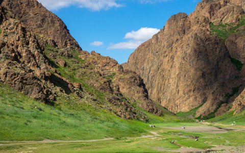 Mongolia - wycieczka, wyprawa objazdowa, Gobi Gurvan Saikhan, Eagle Valley, Wąwóz Yolyn Am, Dolina Orłów, Wąwóz Sępów.jpg